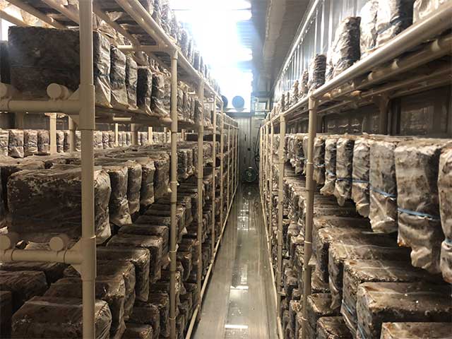 コンテナ内部設備