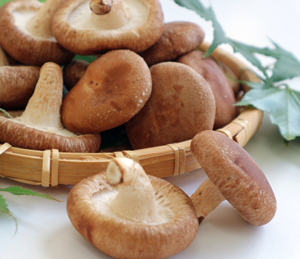 賃料お支払いの仕組み図