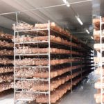 コンテナ温室の特徴