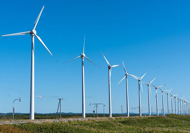徹底比較！ コンテナ温室投資 vs 風力発電投資！